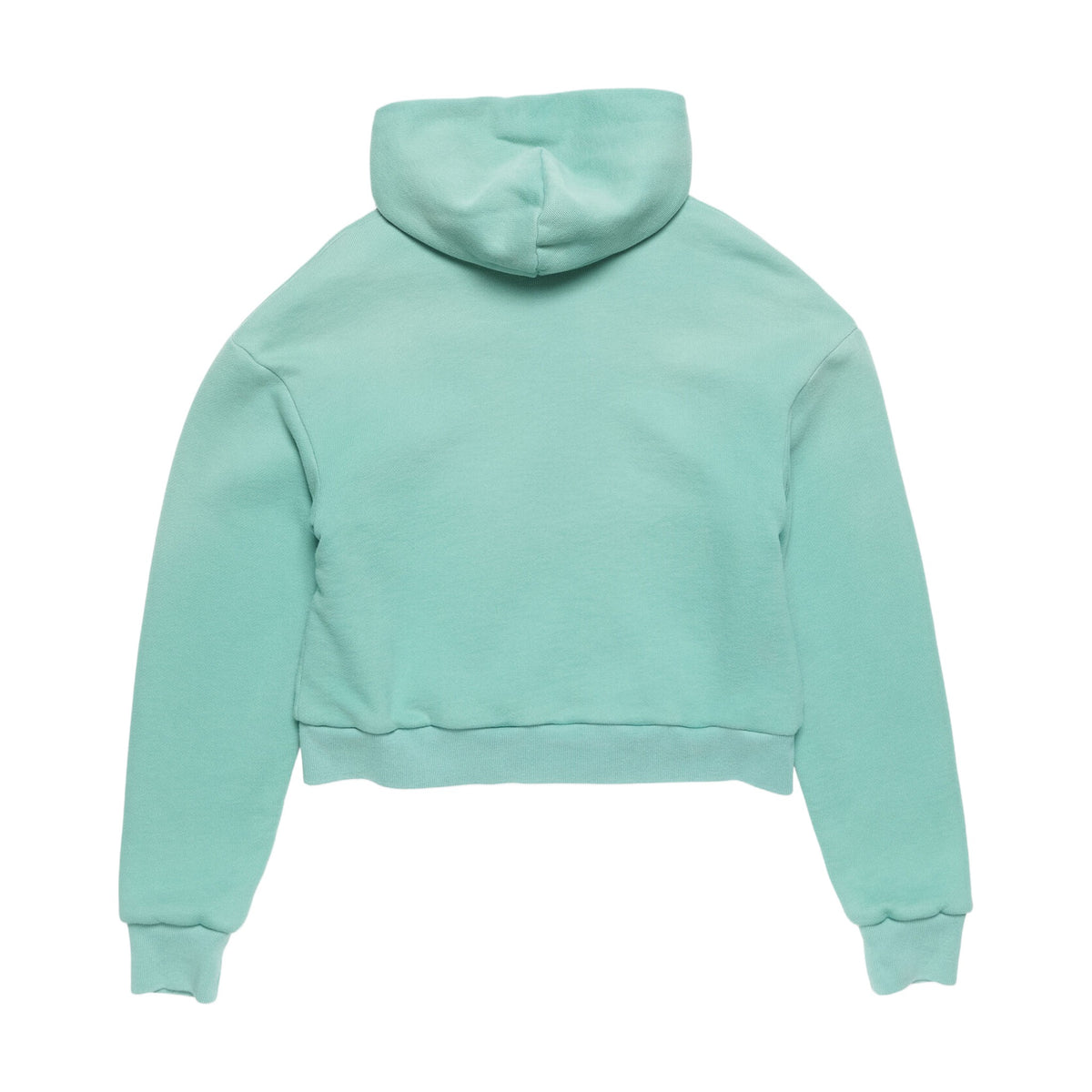 Acne Studios Sprayed Zip Hoodie - Mint Green